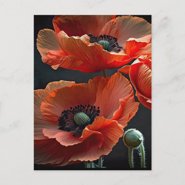Honour those that gave all  postcard (Front)