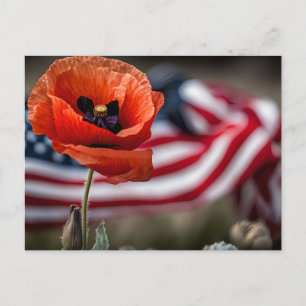 Honour those that gave all postcard