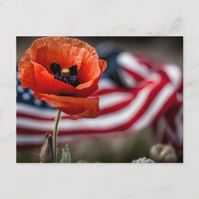 Honour those that gave all  postcard (Front)