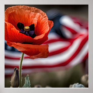 Honour those that gave all  poster