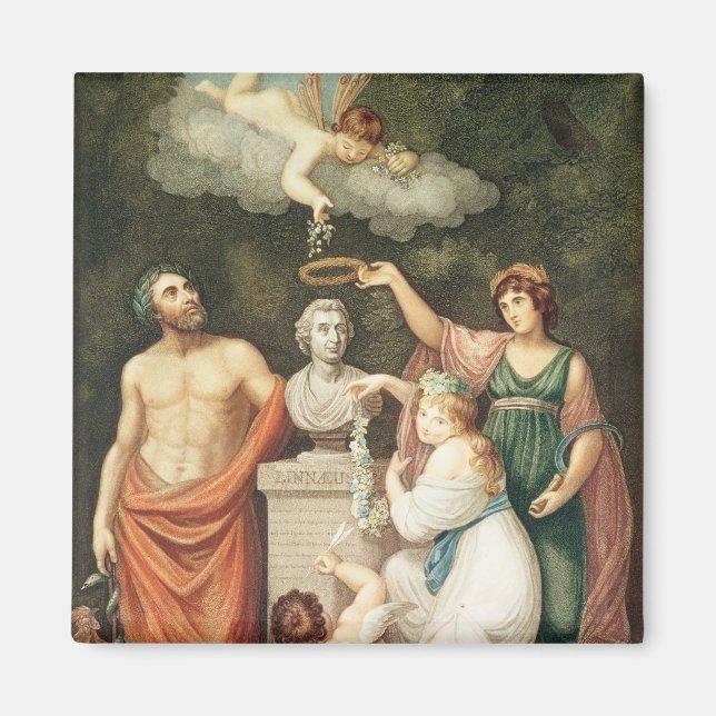 Honouring the Bust of Linnaeus Magnet (Front)