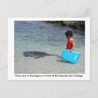 Honu in lagoon in front of Seaside Zen Cottage Postcard