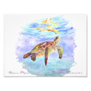 Honu, Maui                         Tamara... Photo Print