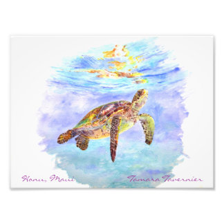 Honu, Maui                         Tamara... Photo Print