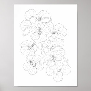 Honu Turtles Adult Colouring Poster