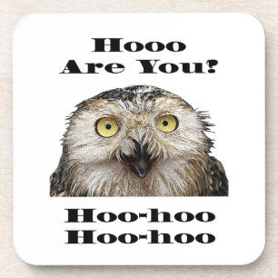 Hoo Are You? Owl Who Are You? Coaster