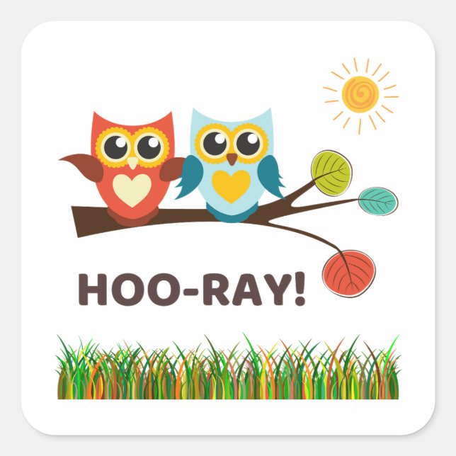 Hoo-Ray Pun Square Sticker (Front)