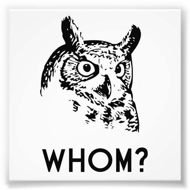 Hoo Who Whom Grammar Owl Photo Print (Front)