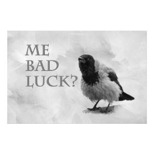 Hooded Crow - Me Bad Luck? Photo Print