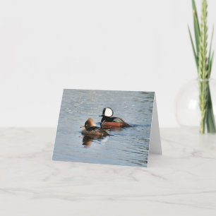 Hooded Merganser Duck Photo Folded Note Card