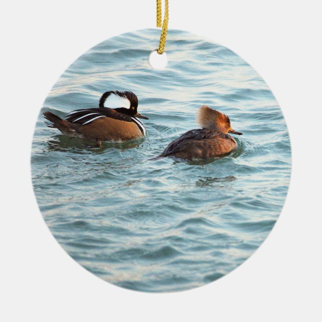 Hooded Merganser Ducks Ornament (Front)