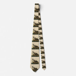 Hooded Merganser - from Audubon's Birds of America Tie