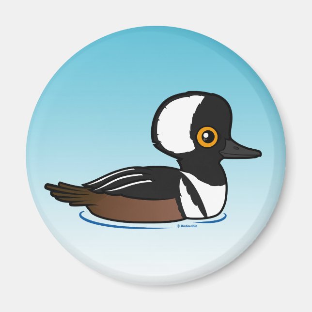 Hooded Merganser Magnet (Front)