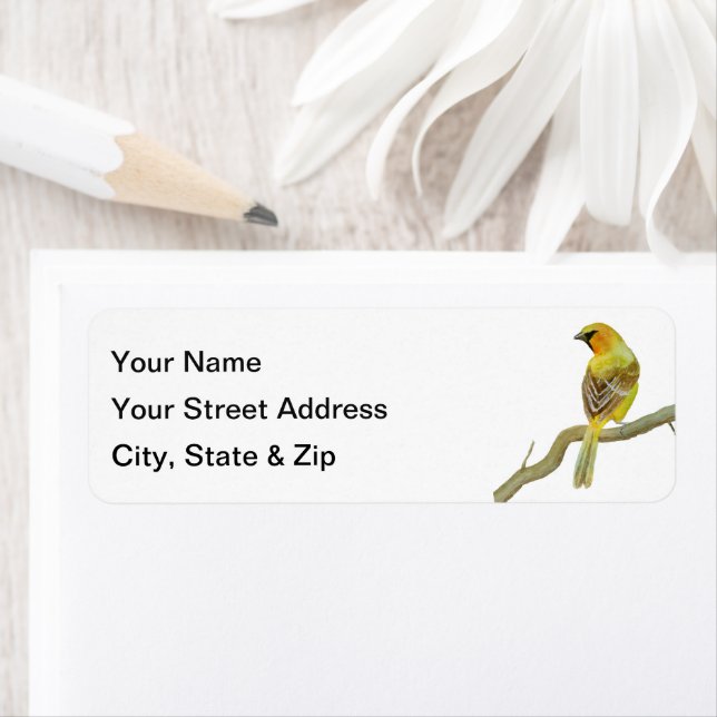 Hooded Oriole Return Address Label (Insitu)