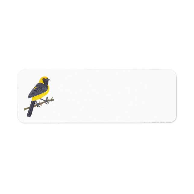 HOODED ORIOLE  RETURN ADDRESS LABEL (Front)