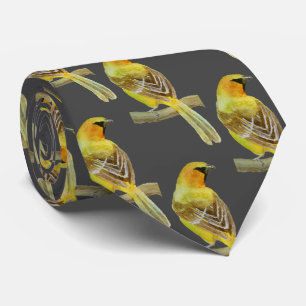 Hooded Oriole Tie