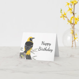 Hooded Oriole White Background Birthday Card