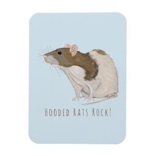 Hooded Rats Rock Agouti Hooded Rat Magnet
