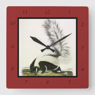 Hooded Skunk or Large-tailed Skunk from Audubon Square Wall Clock