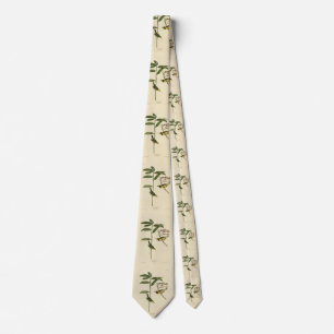 Hooded Warbler from Audubon's Birds of America Tie