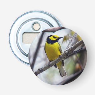 Hooded Warbler Magnet Backed Bottle Opener