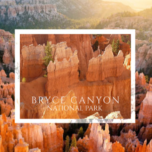 Hoodoos of Bryce Canyon National Park Postcard