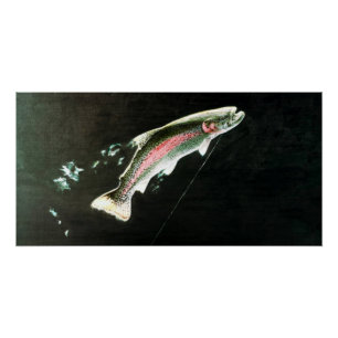 Hooked Rainbow Trout Jumping Poster
