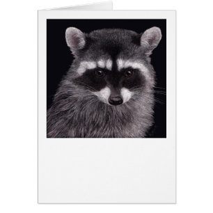 "Hooligan" Racoon Card