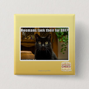 Hoomans Taek There fur OFF? 15 Cm Square Badge