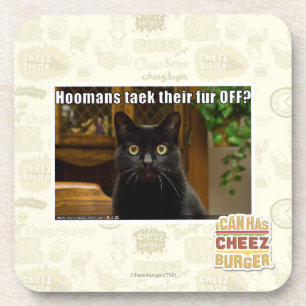 Hoomans Taek There fur OFF? Coaster