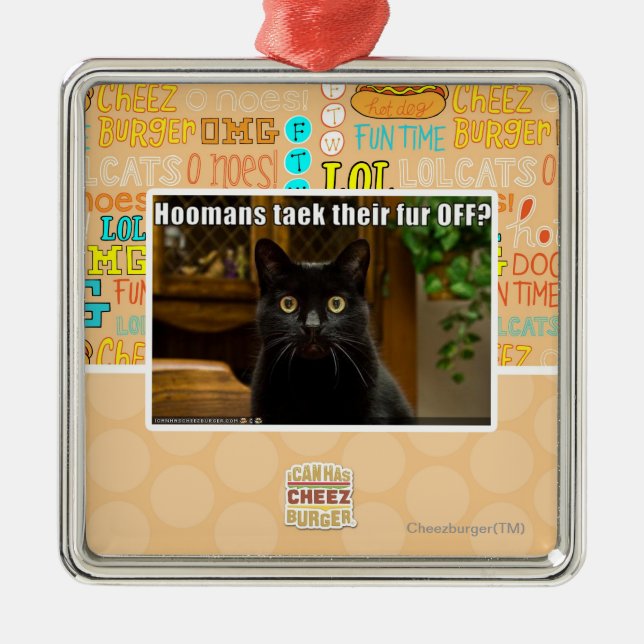 Hoomans Taek There fur OFF? Metal Ornament (Front)