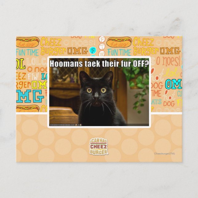Hoomans Taek There fur OFF? Postcard (Front)