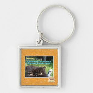 Hoomanz Key Ring