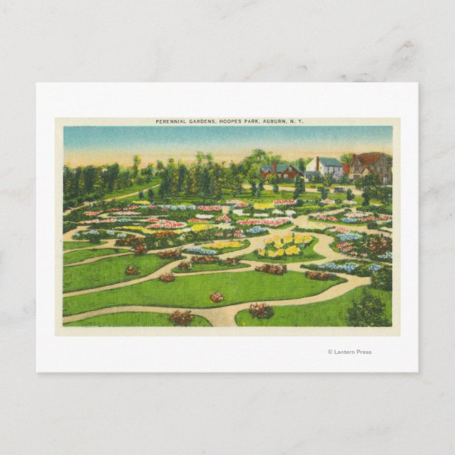 Hoopes Park Perennial Gardens View Postcard (Front)