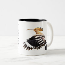 Hoopoe Bird illustration Bird Art Birdwatcher Gift