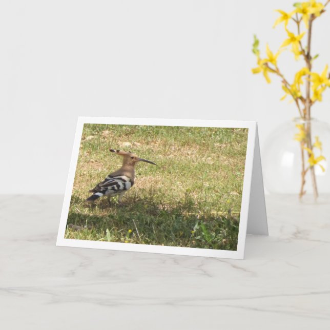 Hoopoe Bird on Grass Card (Yellow Flower)