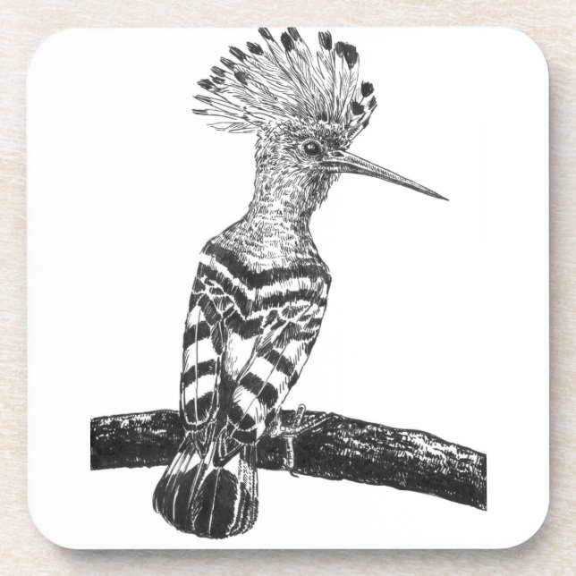 Hoopoe drawing coaster (Front)