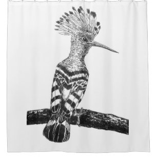 Hoopoe drawing shower curtain