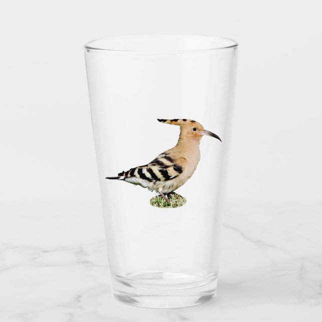 Hoopoe Glass Tumbler (Front)