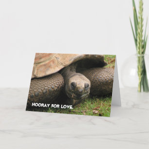 Hooray for love. holiday card