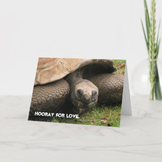 Hooray for love. holiday card