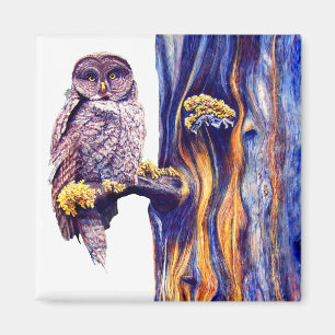 Hoo's Look'n Magnet