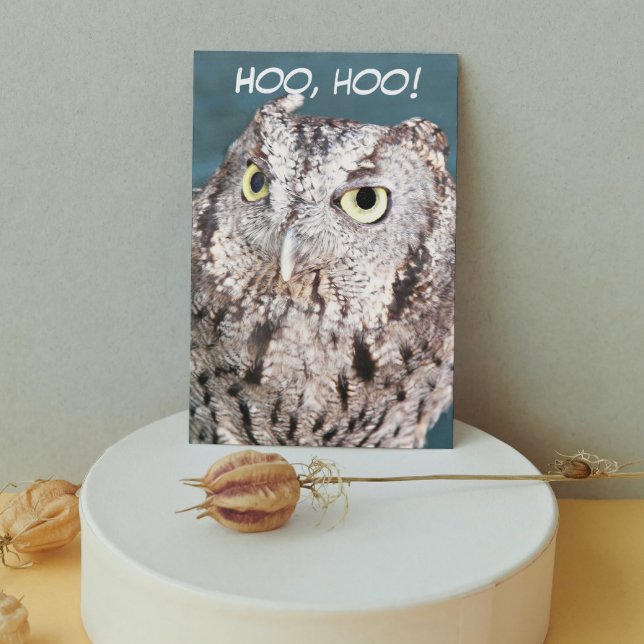 Hooting Screech Owl Funny Birthday Card (In Situ)