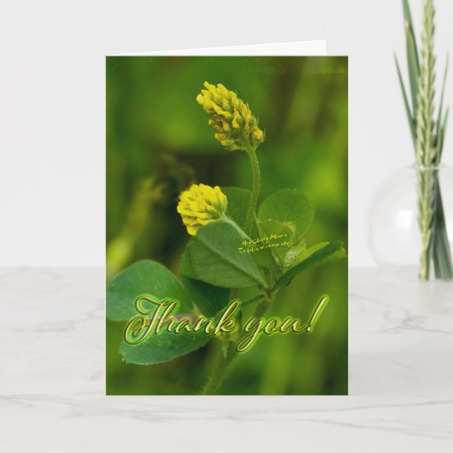 Hop Clover Blossom Thank You Card (Front)