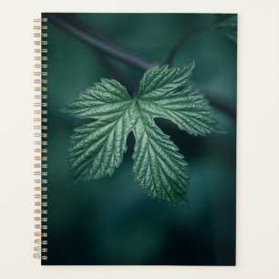 Hop Humulus Leaf Nature Photo Planner