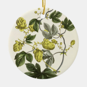 Hop Vine, from 'The Young Landsman', published Vie Ceramic Ornament