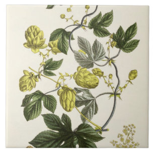 Hop Vine, from 'The Young Landsman', published Vie Ceramic Tile