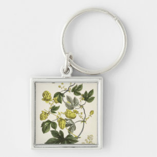 Hop Vine, from 'The Young Landsman', published Vie Key Ring
