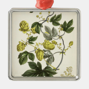 Hop Vine, from 'The Young Landsman', published Vie Metal Tree Decoration