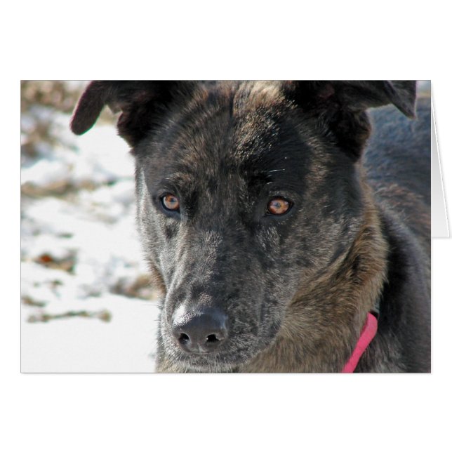 Hope (Front Horizontal)